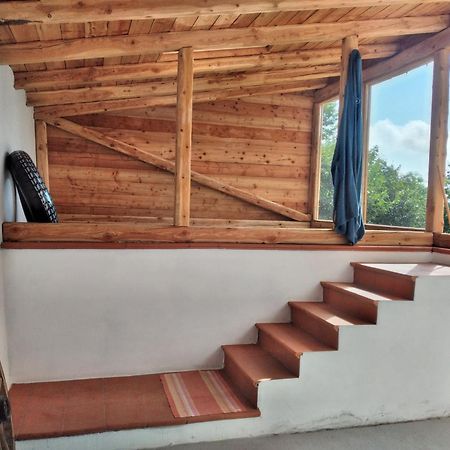 Lo Scoiattolo Bed and Breakfast Giaveno Esterno foto