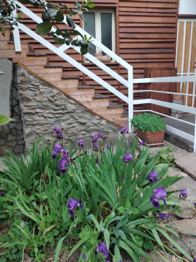 Lo Scoiattolo Bed and Breakfast Giaveno Esterno foto